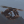 A_Random_Person